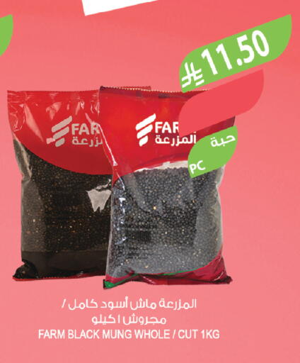 available at المزرعة in مملكة العربية السعودية, السعودية, سعودية - تبوك