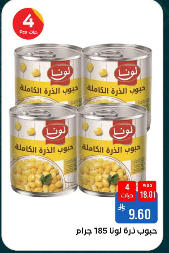 available at شبرا الطائف in مملكة العربية السعودية, السعودية, سعودية - الطائف
