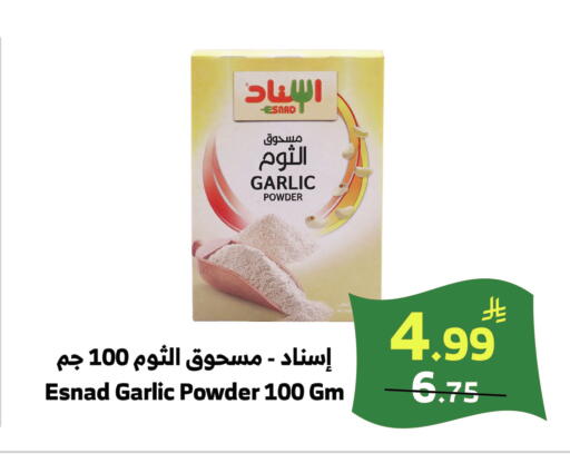 Garlic available at الراية in مملكة العربية السعودية, السعودية, سعودية - خميس مشيط