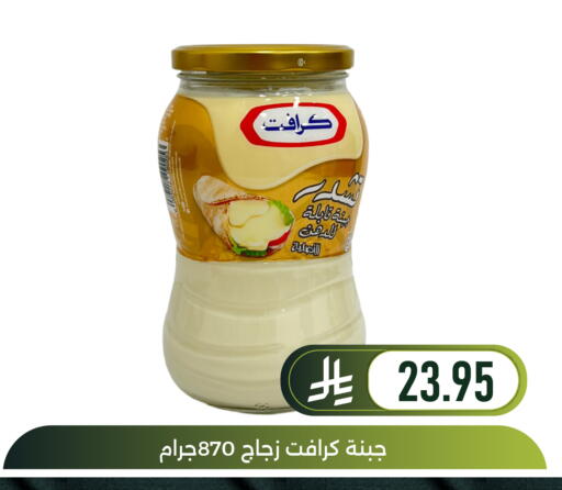 available at Family Discount in KSA, Saudi Arabia, Saudi - Dammam