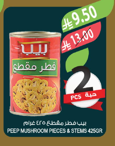 Mushroom available at Farm  in KSA, Saudi Arabia, Saudi - Al-Kharj