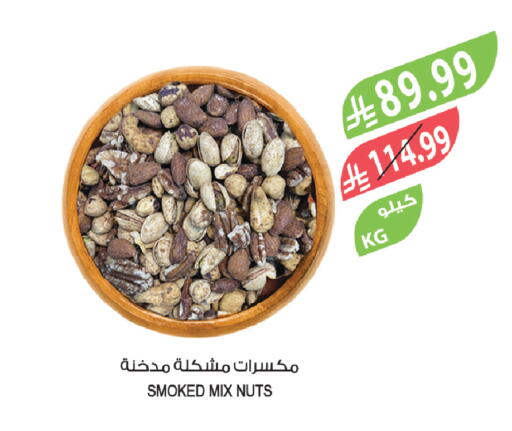 available at المزرعة in مملكة العربية السعودية, السعودية, سعودية - تبوك