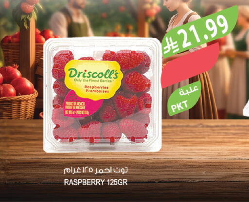 Raspberry available at المزرعة in مملكة العربية السعودية, السعودية, سعودية - الخرج