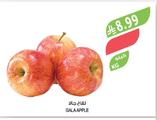 Apple available at Farm  in KSA, Saudi Arabia, Saudi - Al-Kharj