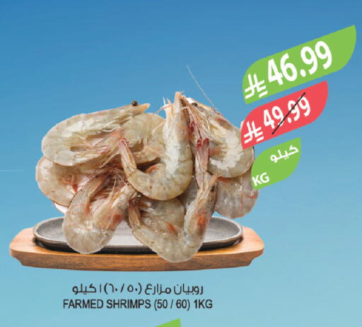 available at المزرعة in مملكة العربية السعودية, السعودية, سعودية - الخرج