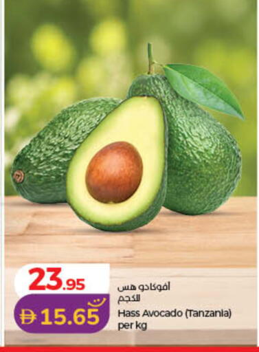 Avocado from Tanzania available at لولو هايبرماركت in الإمارات العربية المتحدة , الامارات - أم القيوين‎
