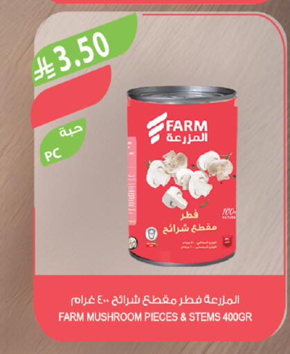 Mushroom available at Farm  in KSA, Saudi Arabia, Saudi - Riyadh