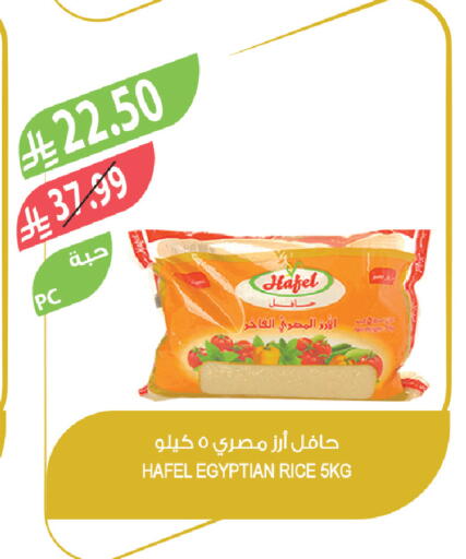 available at Farm  in KSA, Saudi Arabia, Saudi - Al-Kharj