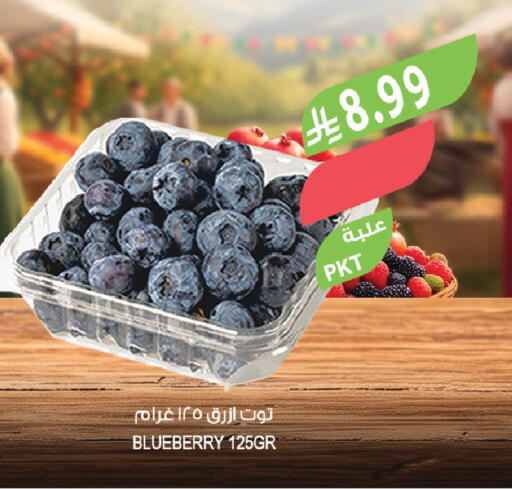 Blueberry BlueBerry available at Farm  in KSA, Saudi Arabia, Saudi - Al-Kharj