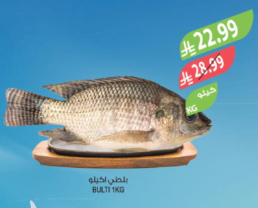 available at Farm  in KSA, Saudi Arabia, Saudi - Al-Kharj