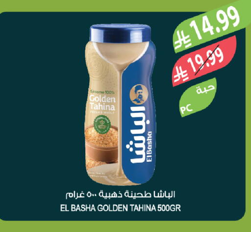 Sesame available at Farm  in KSA, Saudi Arabia, Saudi - Al-Kharj