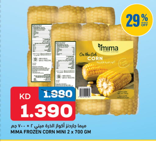 Date available at Oncost in Kuwait - Kuwait City