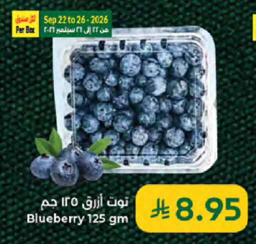 Blueberry BlueBerry available at Kabayan Hypermarket in KSA, Saudi Arabia, Saudi - Jeddah