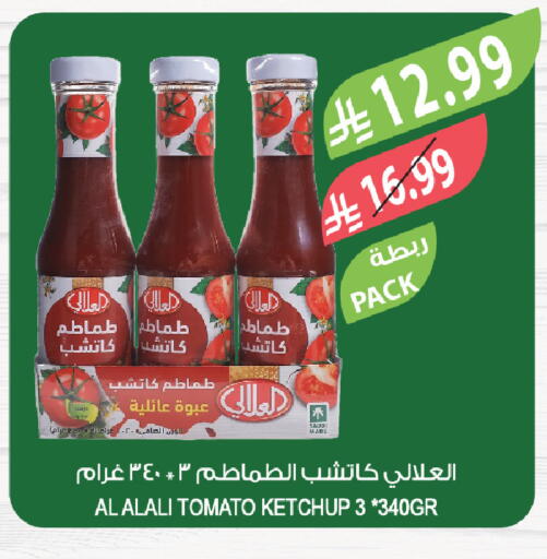 Tomato available at المزرعة in مملكة العربية السعودية, السعودية, سعودية - الرياض