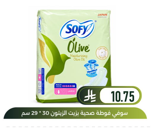 available at Family Discount in KSA, Saudi Arabia, Saudi - Dammam