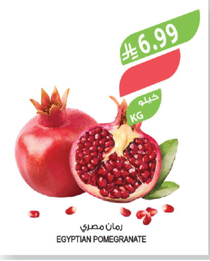 Pomegranate from Egypt available at المزرعة in مملكة العربية السعودية, السعودية, سعودية - تبوك