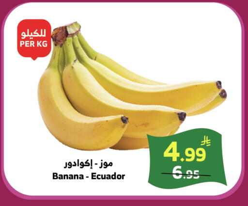 Banana from Ecuador available at الراية in مملكة العربية السعودية, السعودية, سعودية - خميس مشيط