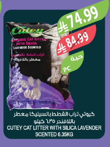 available at Farm  in KSA, Saudi Arabia, Saudi - Tabuk