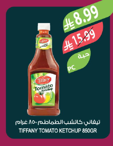Tomato available at Farm  in KSA, Saudi Arabia, Saudi - Tabuk