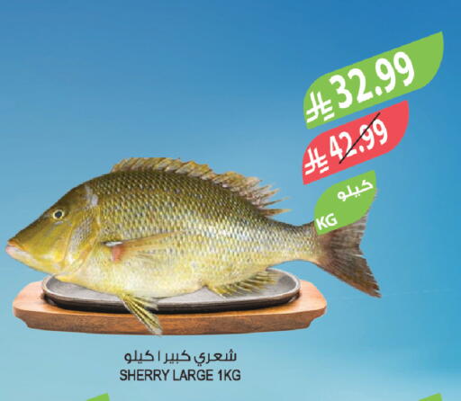 available at Farm  in KSA, Saudi Arabia, Saudi - Al-Kharj