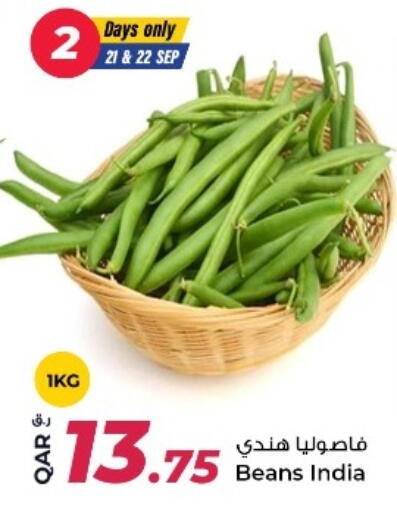 from India available at روابي هايبرماركت in قطر - الضعاين