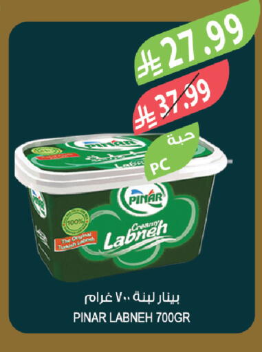 available at Farm  in KSA, Saudi Arabia, Saudi - Tabuk