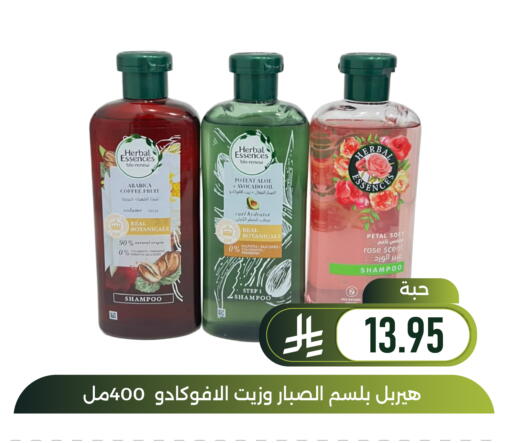 Avocado available at Family Discount in KSA, Saudi Arabia, Saudi - Dammam