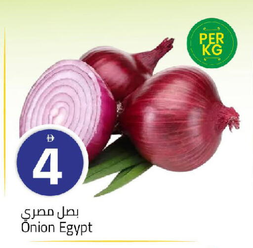Onion from Egypt available at مارك & سيف in الإمارات العربية المتحدة , الامارات - أبو ظبي