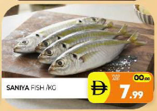 available at Al Madina  in UAE - Sharjah / Ajman