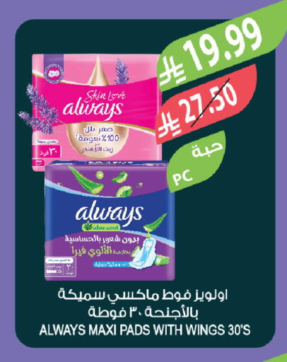 available at المزرعة in مملكة العربية السعودية, السعودية, سعودية - تبوك