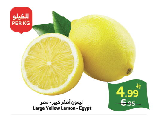 Lemon from Egypt available at الراية in مملكة العربية السعودية, السعودية, سعودية - خميس مشيط