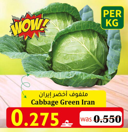 Cabbage from Iran available at Al Muzn Shopping Center in Oman - Muscat