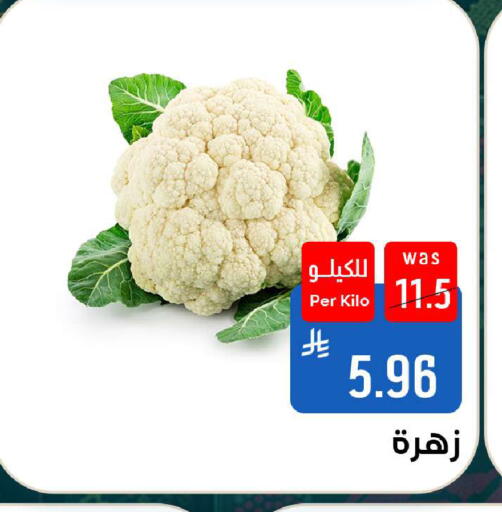 available at شبرا الطائف in مملكة العربية السعودية, السعودية, سعودية - الطائف