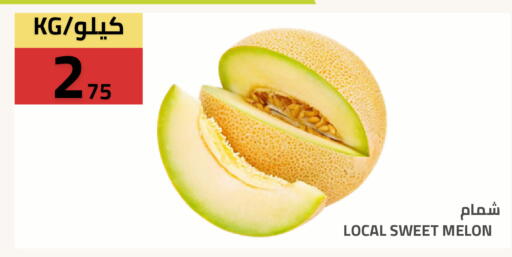Melon available at Astra Markets in KSA, Saudi Arabia, Saudi - Tabuk