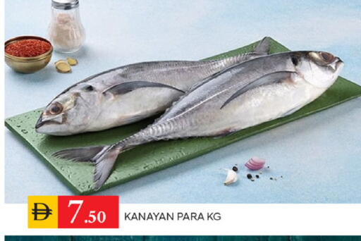 available at TALAL MARKET in UAE - Sharjah / Ajman