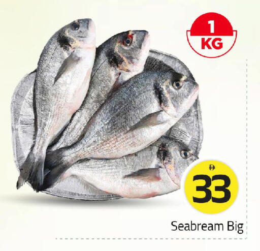 available at مارك & سيف in الإمارات العربية المتحدة , الامارات - أبو ظبي