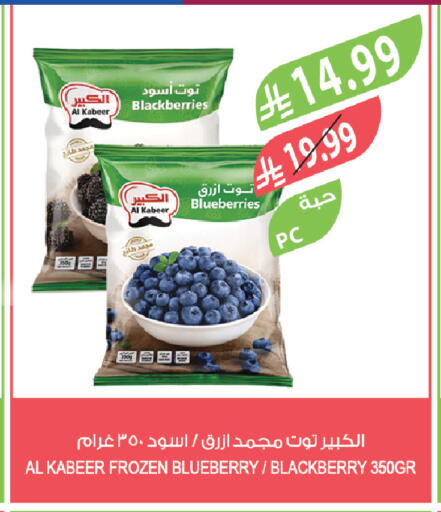 Blueberry BlueBerry Blackberry available at المزرعة in مملكة العربية السعودية, السعودية, سعودية - الخرج