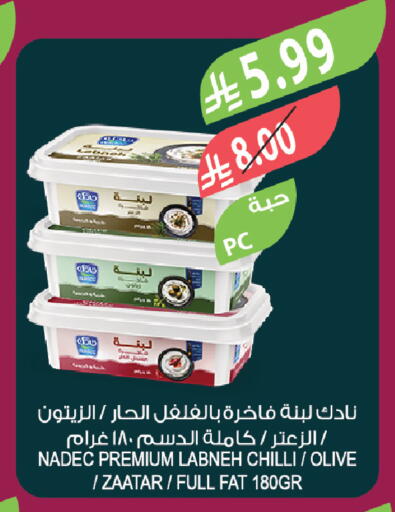 Chilli available at Farm  in KSA, Saudi Arabia, Saudi - Tabuk
