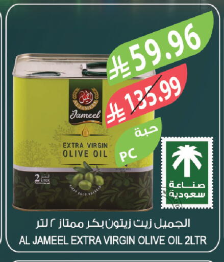 available at المزرعة in مملكة العربية السعودية, السعودية, سعودية - تبوك