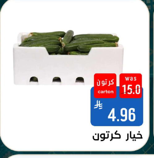 available at شبرا الطائف in مملكة العربية السعودية, السعودية, سعودية - الطائف