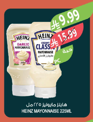 Garlic available at Farm  in KSA, Saudi Arabia, Saudi - Al-Kharj