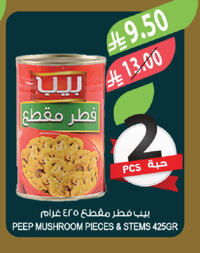 Mushroom available at المزرعة in مملكة العربية السعودية, السعودية, سعودية - تبوك