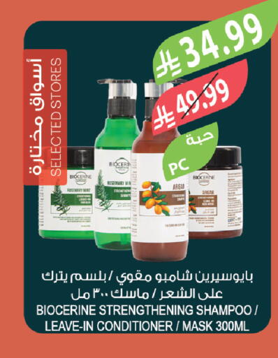 Rosemary Mint available at Farm  in KSA, Saudi Arabia, Saudi - Al-Kharj