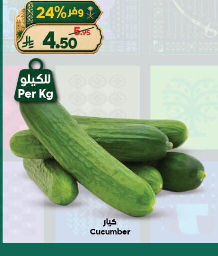 Cucumber available at الدكان in مملكة العربية السعودية, السعودية, سعودية - جدة