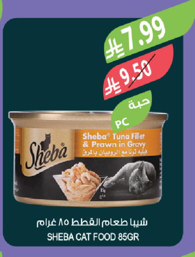 available at Farm  in KSA, Saudi Arabia, Saudi - Al-Kharj