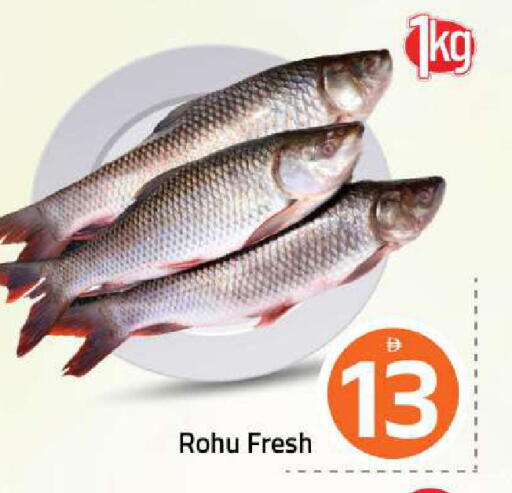 available at مارك & سيف in الإمارات العربية المتحدة , الامارات - الشارقة / عجمان