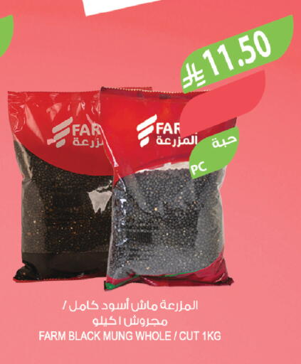 available at Farm  in KSA, Saudi Arabia, Saudi - Al-Kharj