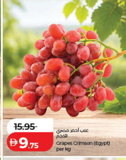 Grapes from Egypt available at لولو هايبرماركت in الإمارات العربية المتحدة , الامارات - أم القيوين‎