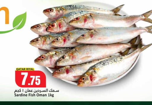 available at دانة هايبرماركت in قطر - الريان