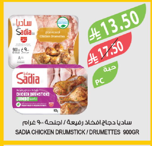 available at المزرعة in مملكة العربية السعودية, السعودية, سعودية - تبوك